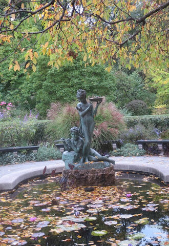 Fall Foliage in Central Park