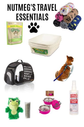 Nutmeg’s Travel Essentials