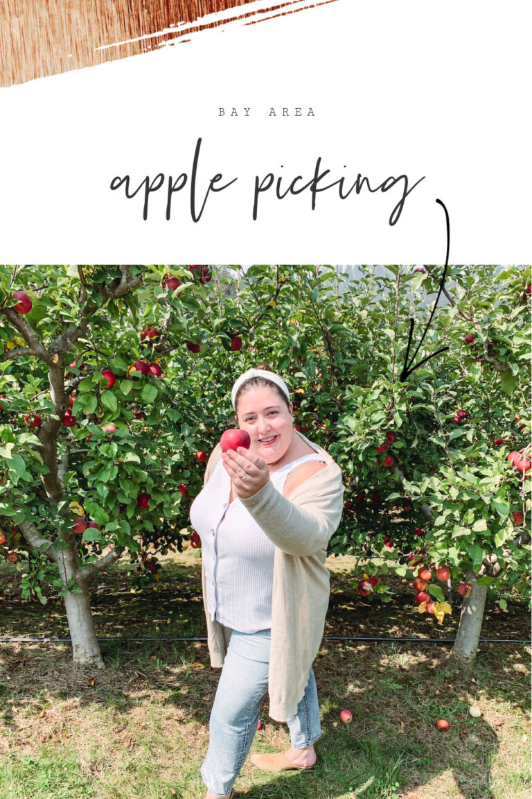 Best Apple Picking in the Bay Area Modern Mollie